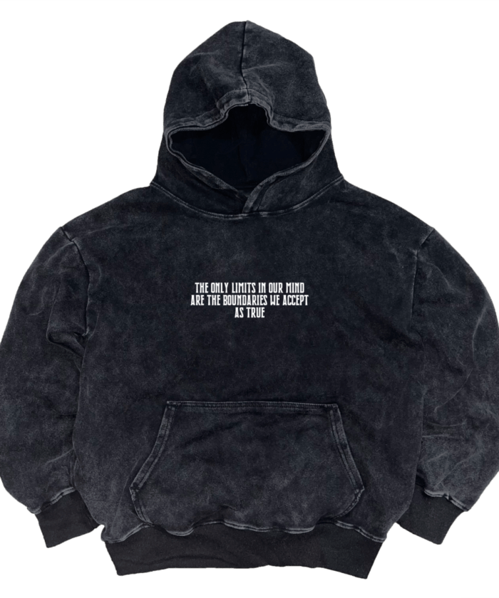 Alternative view of CATCH THE "PREY" HOODIE - R